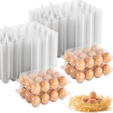 EVANCENT cartones-huevos-100-piezas muestran almacenamiento claro para granjas y mercados.