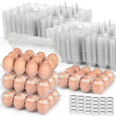 LOVEINUSA cajas transparentes para exhibir huevos con visibilidad para clientes.