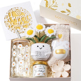 Mayicivo caja regalo daisy deluxe, ideal para sorprender a una amiga