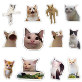 Imanes Pounchi gato divertido en el frigorífico para decorar.