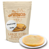 SCOBY grande The Kombucha Company listo para iniciar la fermentación en casa.