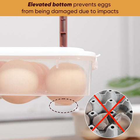 77L bandeja de huevos rellenos transparente, facilita ver la frescura