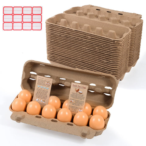 DecarDamai cartones de huevos vacíos, 24 paquetes, para almacenamiento seguro.