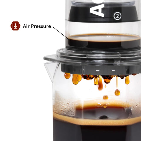 AeroPress XL es compatible con modelos XL para extracción consistente