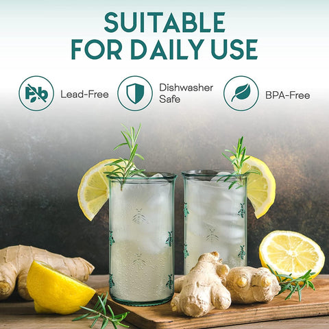 Amici Home Regina Hiball es ideal para agua y jugos fríos.