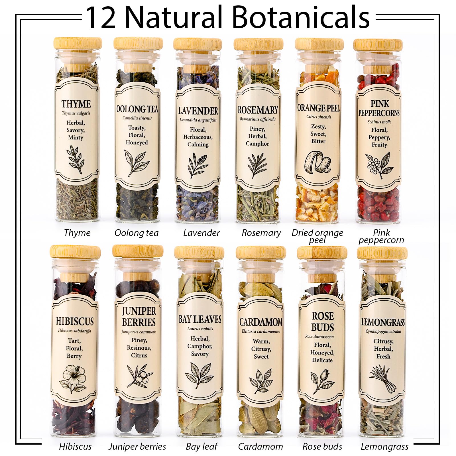 Botánicos de Apragaz en frascos de vidrio conservando aroma y color.