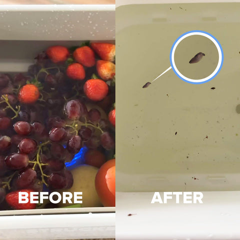 AquaPure uso-facil: funcionamiento simple en minutos