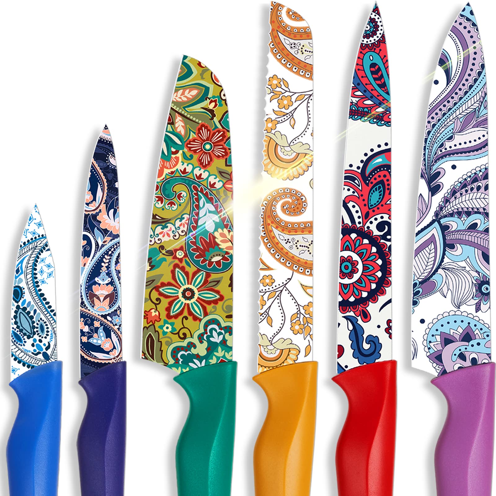 Astercook conjunto Patrón Paisley y funda, regalo elegante.
