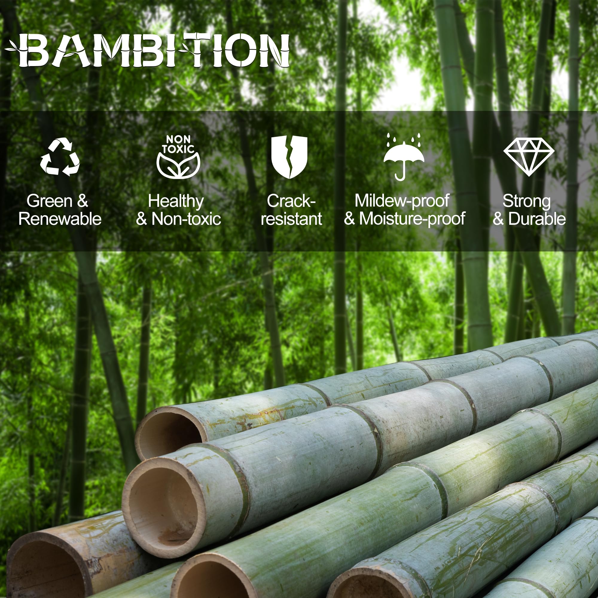 Bambition dimensiones adecuadas para encimera y despensa, optimiza el espacio.