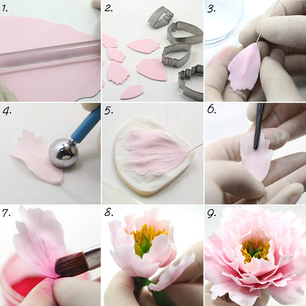 Baotongle tabla de venas para flores, realza texturas con precisión