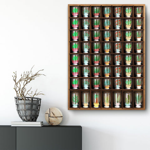 Barydat: instalación fácil en pared con clavos para exhibir chupitos