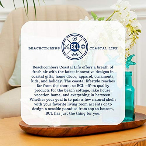 Beachcombers tortuga marina porta-botellas en mesa, ideal para regalos