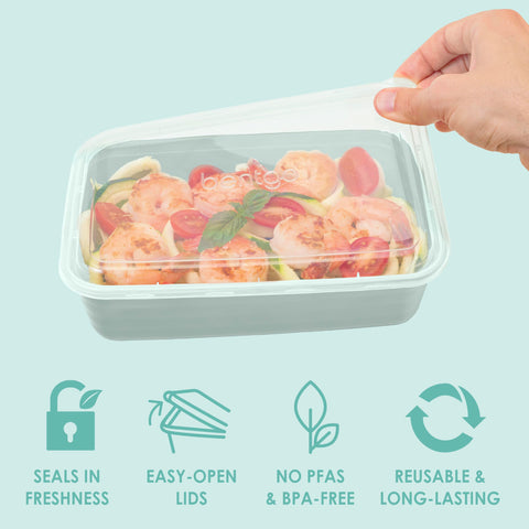 Bentgo Prep: materiales libres de PFAS y BPA para uso diario seguro.