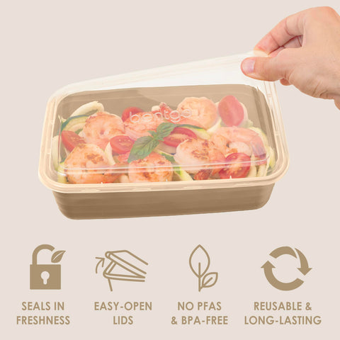 Bentgo Prep: materiales libres de PFAS y BPA para uso repetido