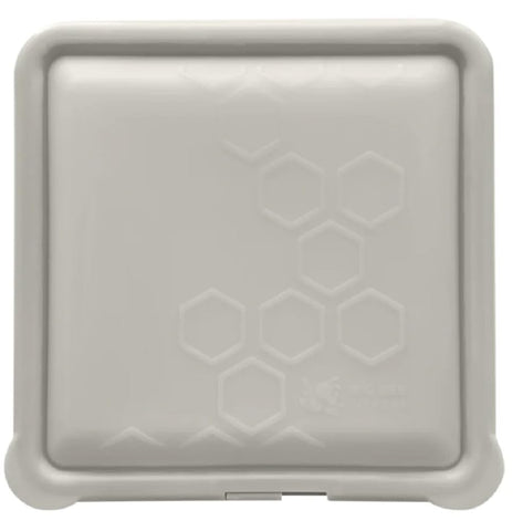 Big Bee, Little Bee SoftShell contenedor rectangular 7x7 para almuerzos prácticos.