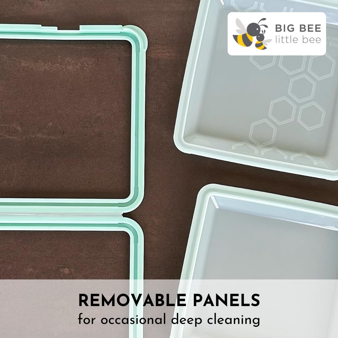 Big Bee SoftShell, perfecto para almuerzos diarios y almacenamiento práctico.