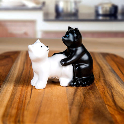 Regalo cómico para amantes de gatos, ideal para ocasiones especiales.