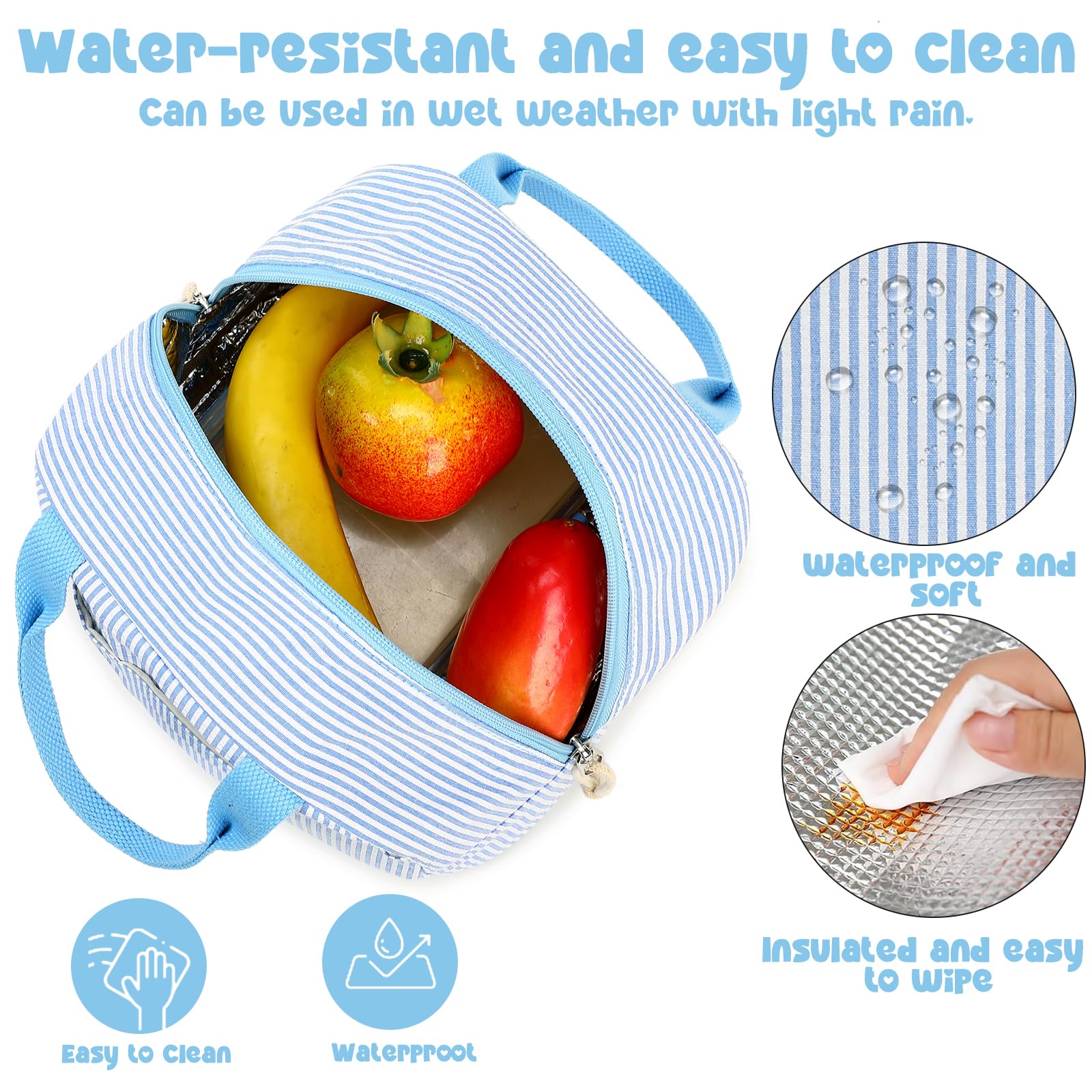 Bluboon lonchera usos múltiples: ideal para trabajo, viaje y picnics.