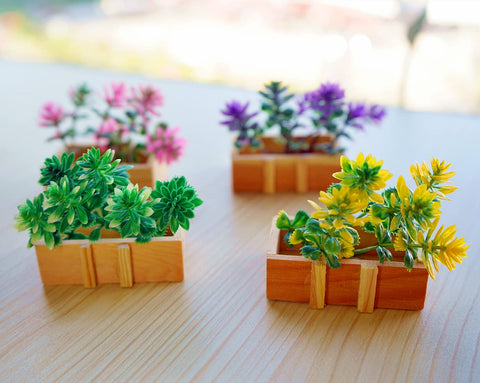 Imán regalo Bonilve, perfecto para amantes de la jardinería y la cocina