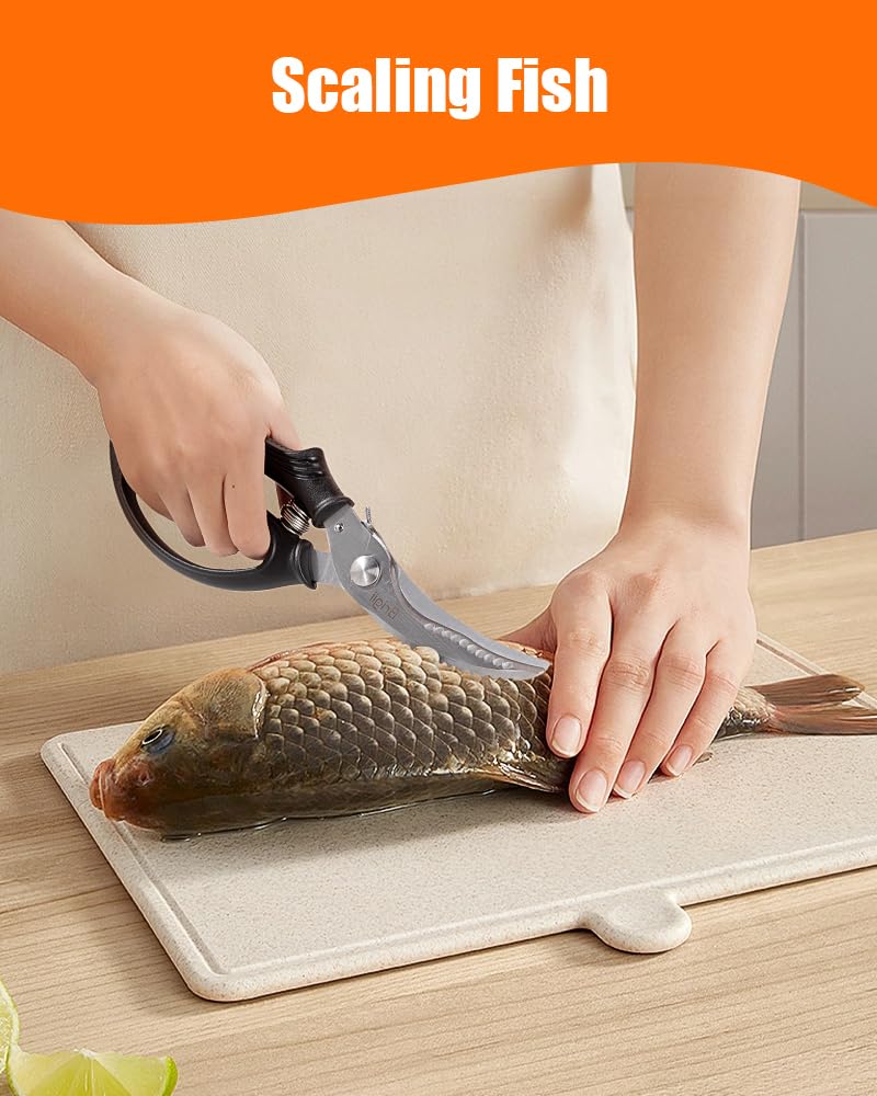 Brigii tijeras para pesca, corta pescado y escamas con facilidad