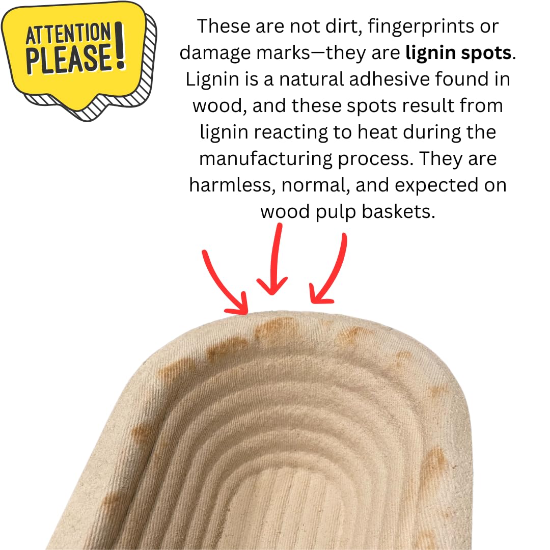 Bulka banetón de pulpa de madera, opción ecológica y biodegradable.
