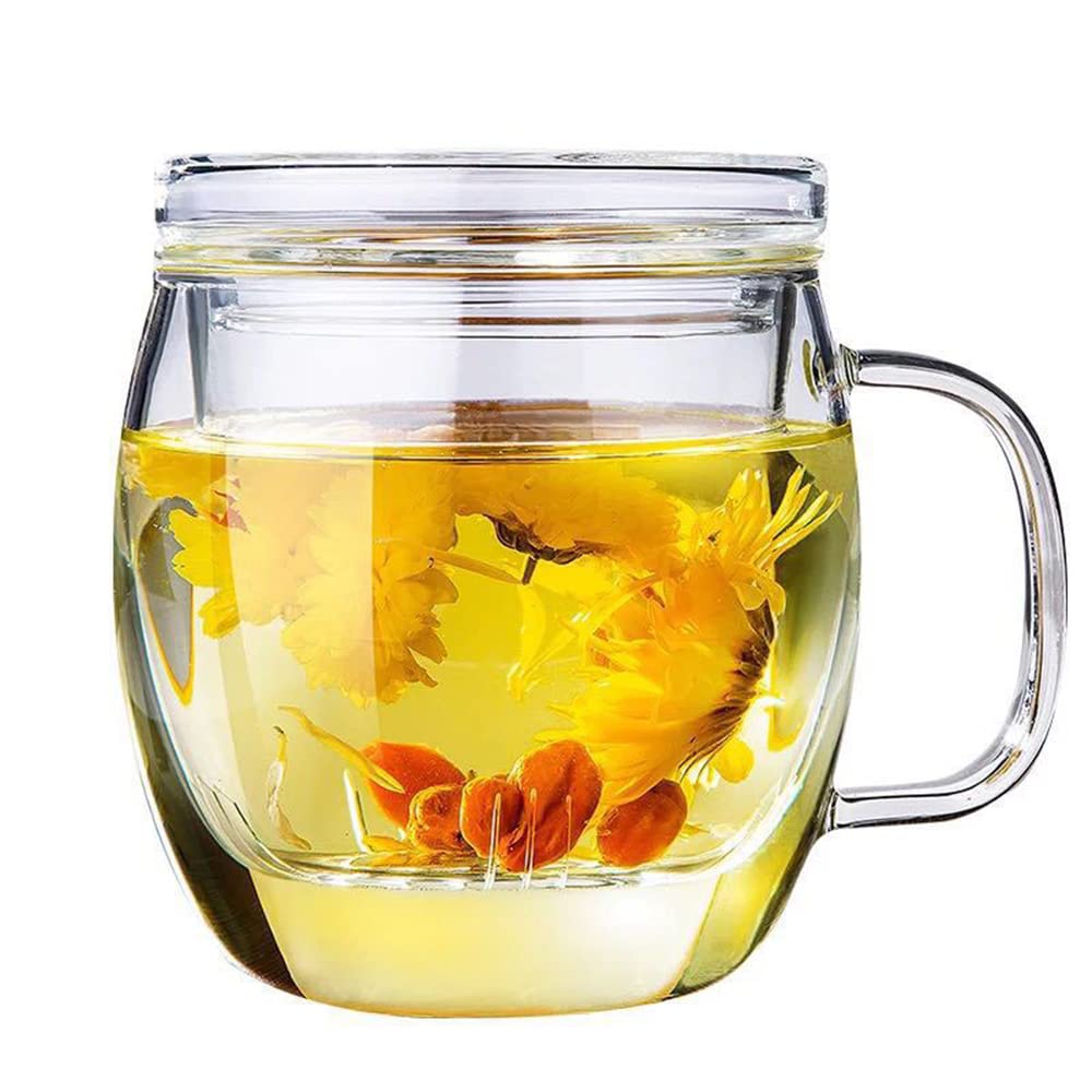 Taza Bunhut de vidrio con infusor y tapa para té, filtración eficiente de hojas sueltas