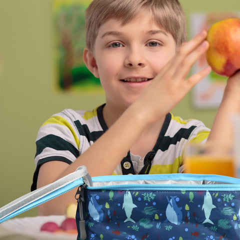 CaCTOUR Lunch Box Kids Shark, detalle clip para fijar a la mochila.