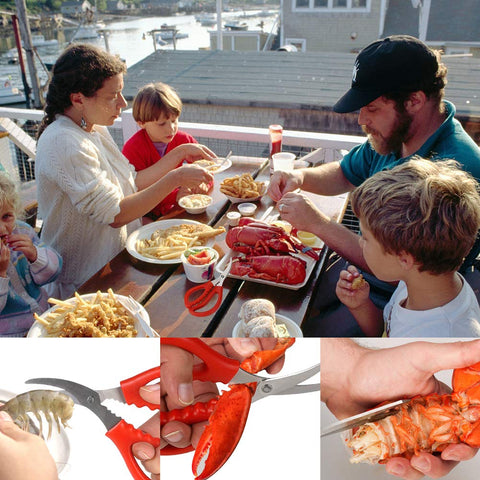 Corte versátil para mariscos, verduras y frutas con Calary.