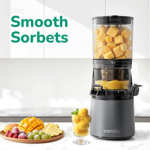 Canoly C16 filtro sorbet, sorbet suave a partir de frutas congeladas.