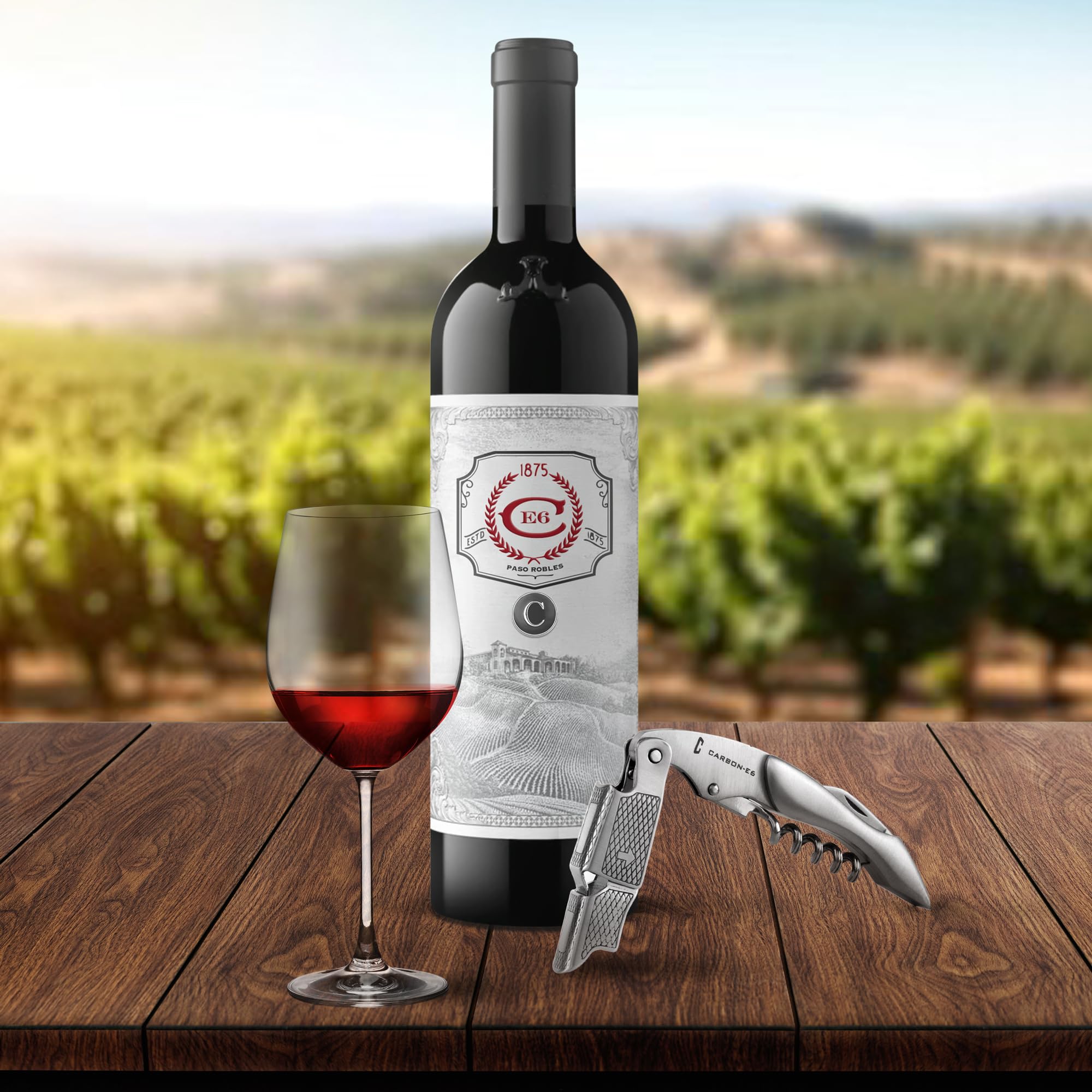 CARBON-E6 regalo ideal para camareros y amantes del vino.