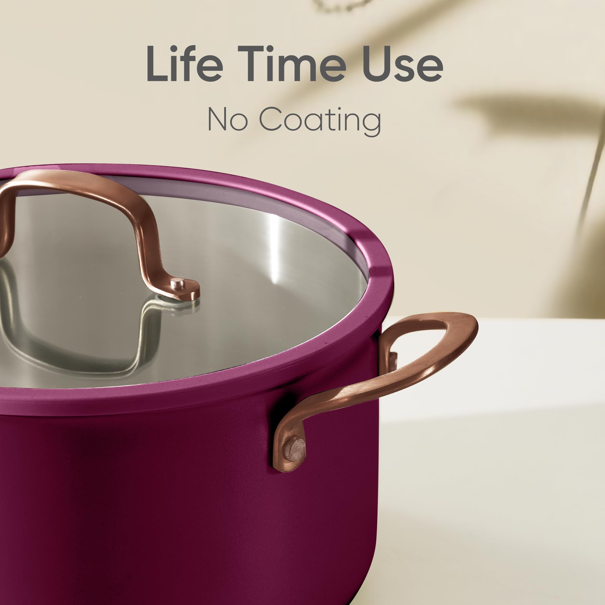 CAROTE Olla 8QT compatible con inducción y cocinas diversas.