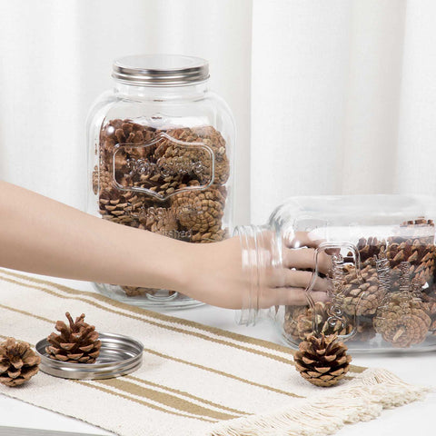 CATPOWER tarro cocina grande ideal para harina, legumbres y galletas