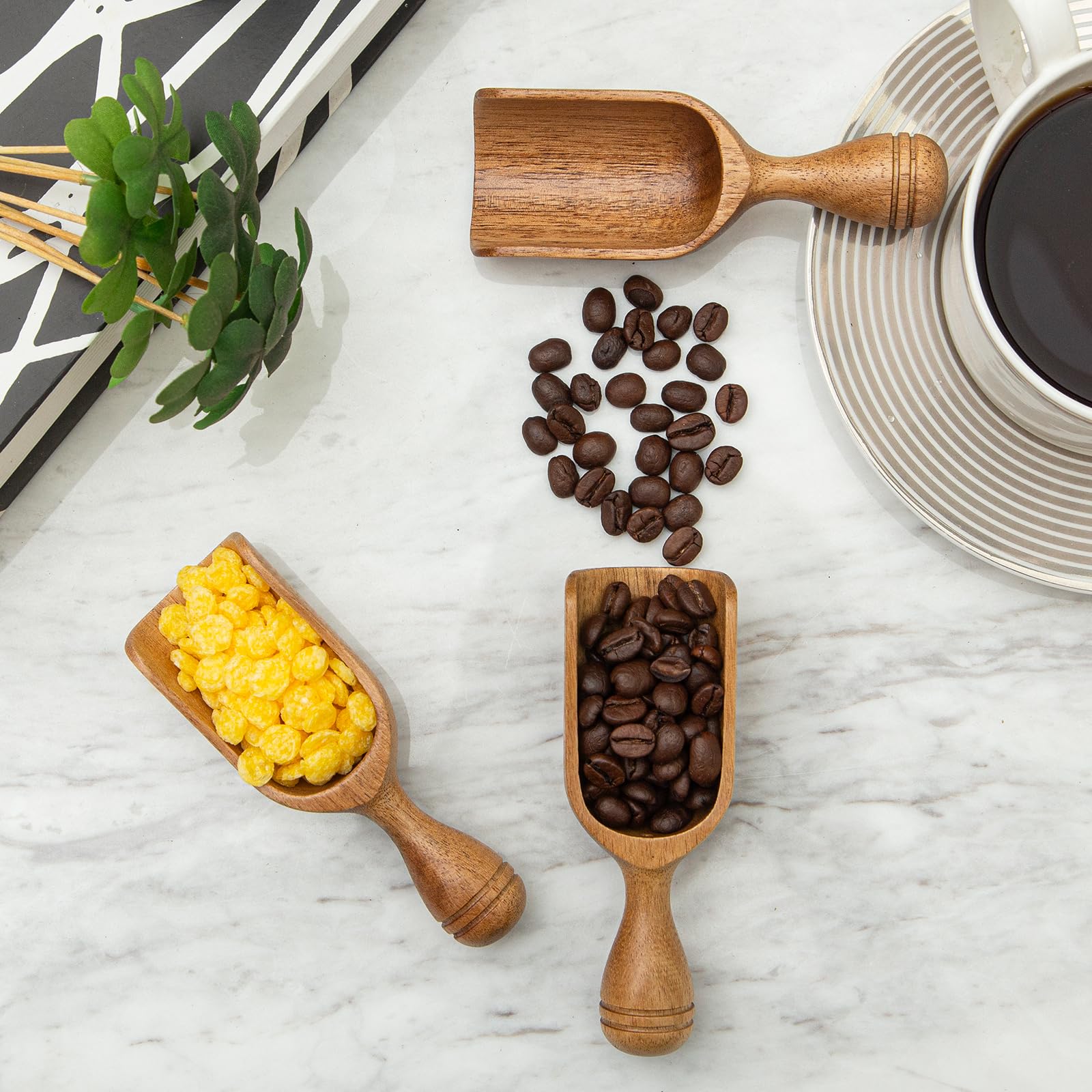 CDEHQFB cucharas para té y polvos: diseño compacto para servir con precisión.