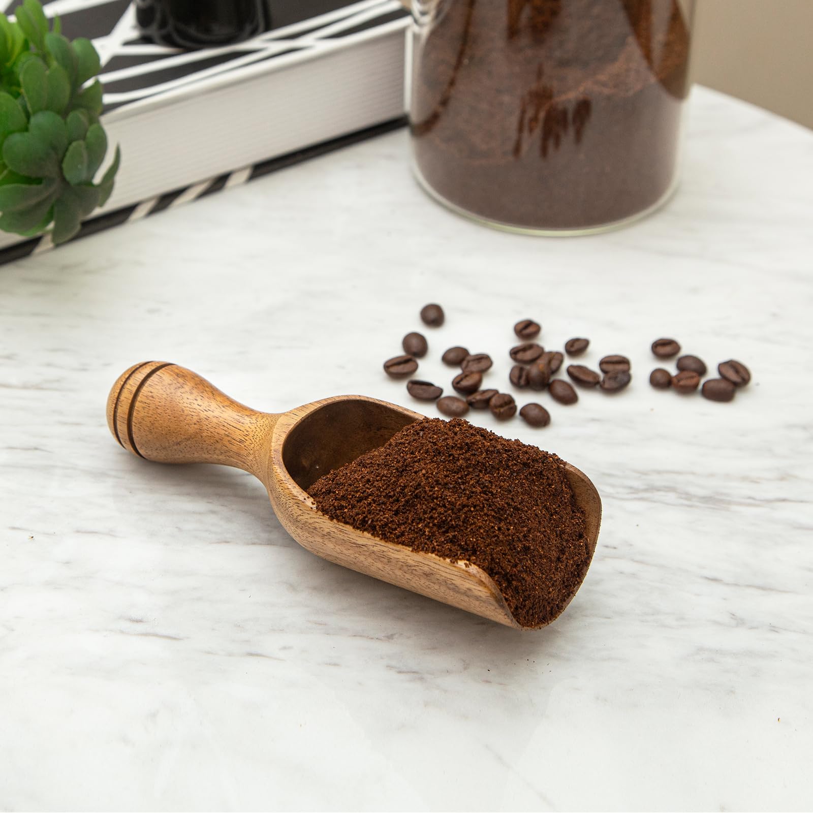 CDEHQFB cucharas medidoras para café en grano, uso diario en la cocina
