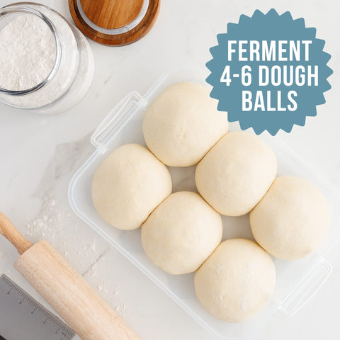 Chef Pomodoro: vista superior que muestra la amplitud para 4-6 bolas de masa.