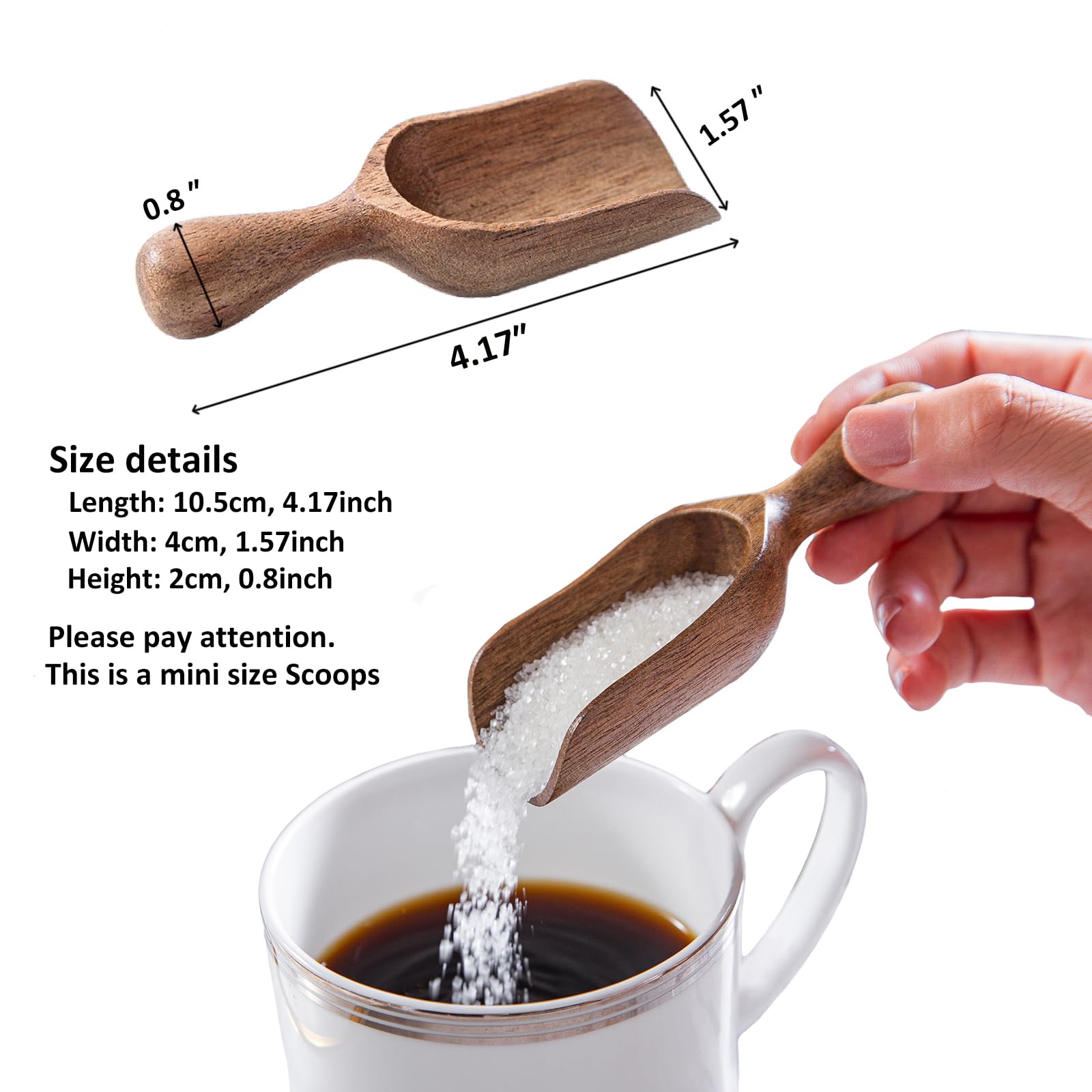 CHEF OLÉ cucharas mini medidoras para café y especias, tamaño compacto para frascos.