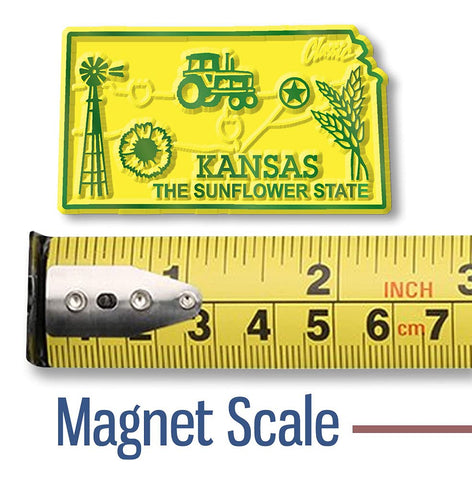 Classic Magnets: conjunto para exhibición en mural o tablero de recuerdos