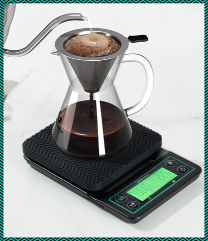 Coffee Gator temporizador eficiente con apagado automático para ahorro de energía