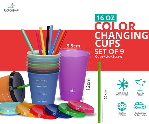 COLORPUL Vasos portátiles para playa y picnic, ligeros y fáciles de transportar.