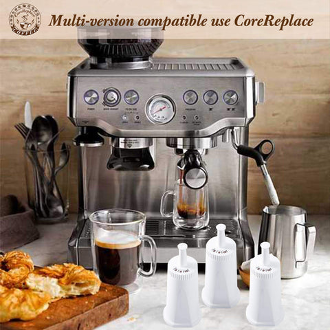 CoreReplace BES008WHT0NUC1 juego de 4 filtros, ahorro y conveniencia anual.