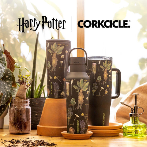 Corkcicle Harry Potter 24 onzas, regalo perfecto para fans de magia