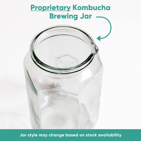 Guía paso a paso para iniciar tu primera tanda de kombucha.
