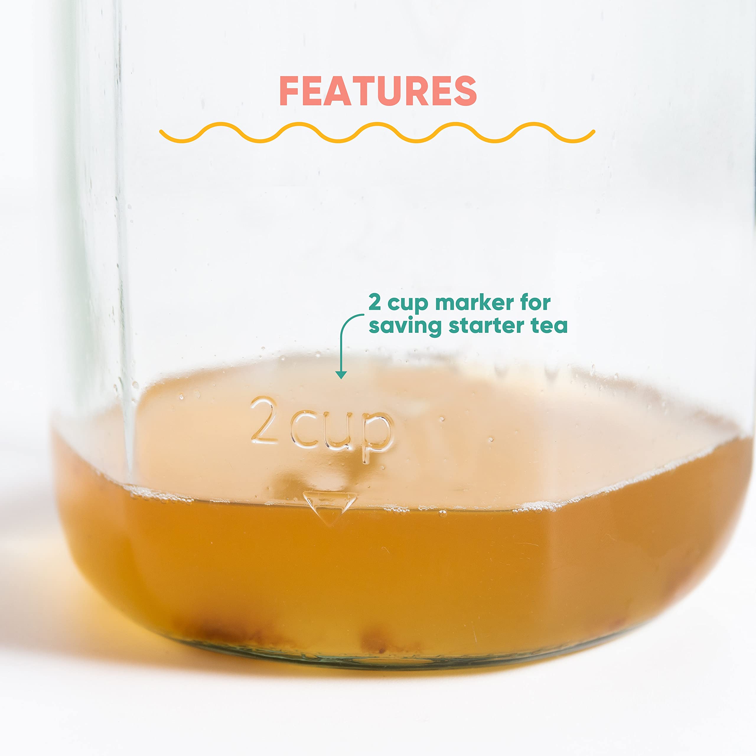 SCOBY para permitir fermentaciones continuas y tandas en casa.