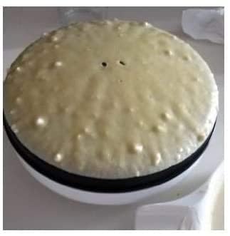 CucinaPro Crepe Maker en acción, creando crepes suaves en minutos