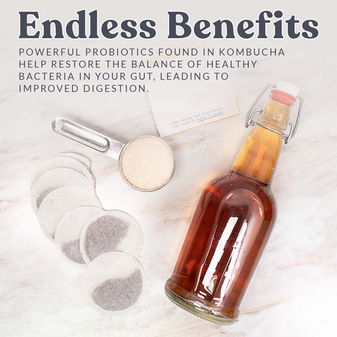 Cultures For Health dispensador de kombucha diario.
