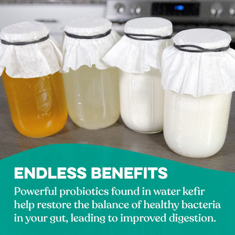 Cultures For Health Kefir Starter para bebidas diversas, listo para probar.