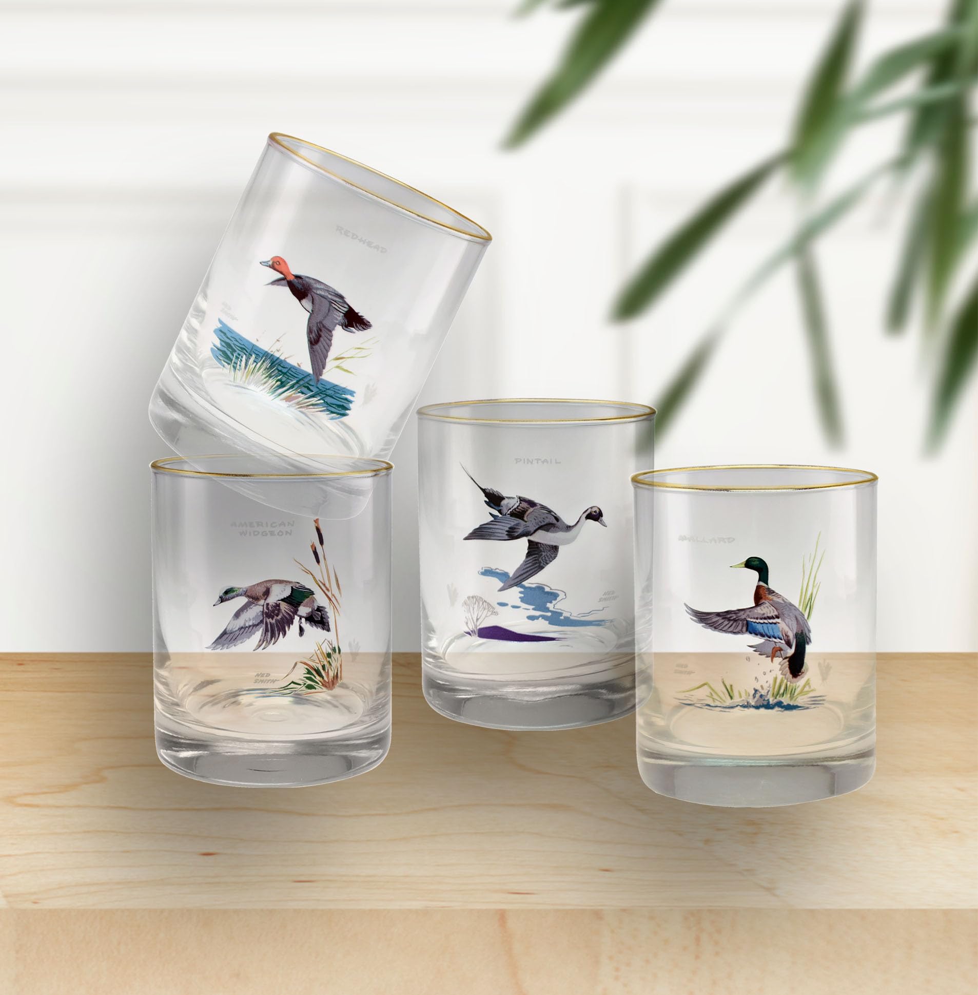 Vaso Culver Ned Smith DOF, ideal como regalo para amantes de la naturaleza