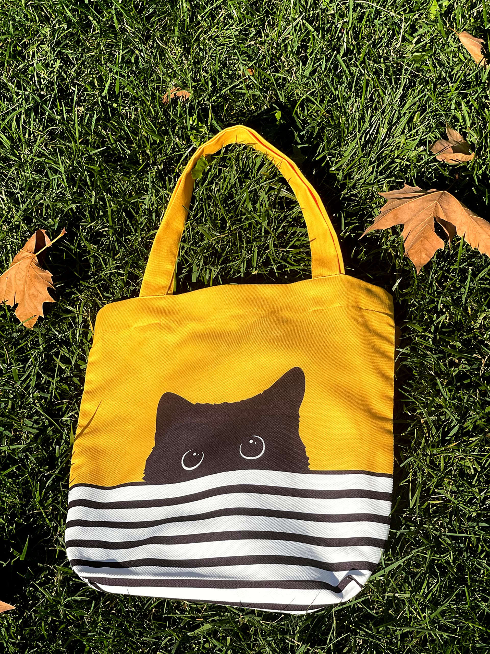 Dibujo gato atractivo CurryFerry, diseño único para destacar.