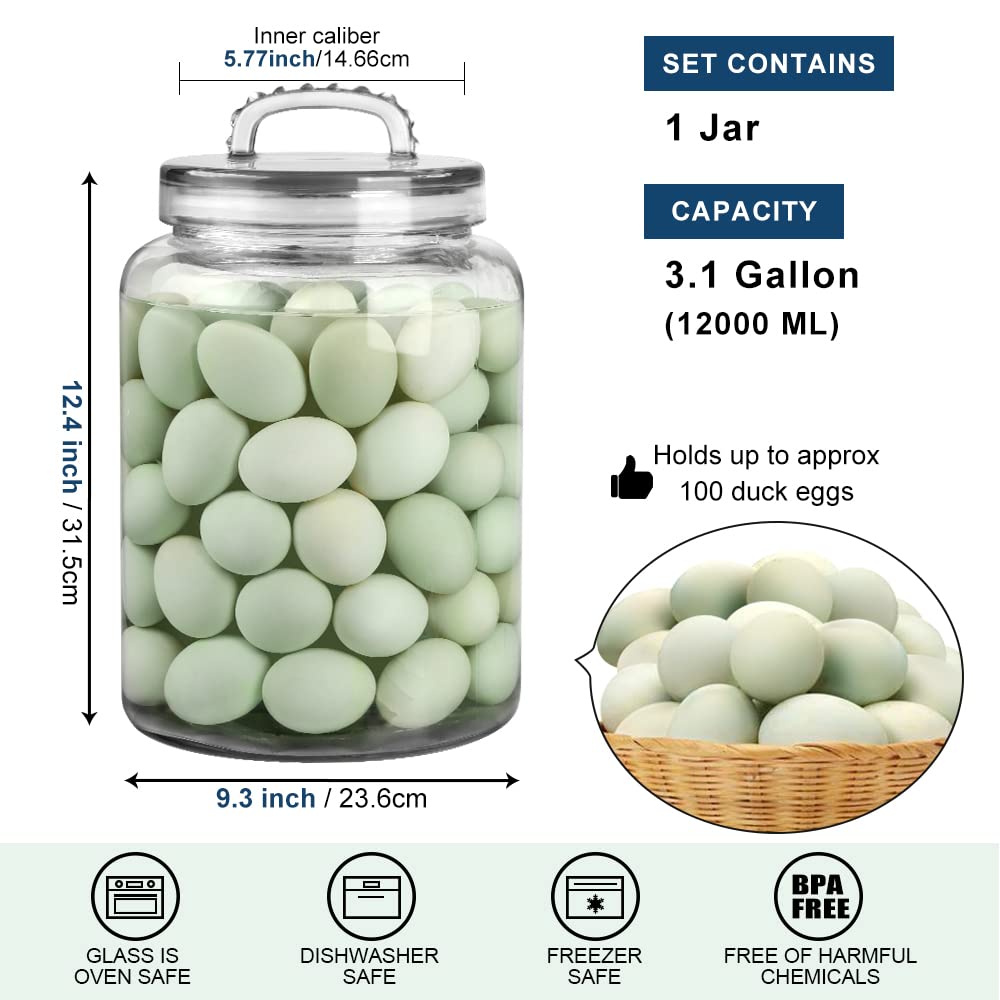Gran capacidad de 3 galones perfecto para cocinas de alto consumo.