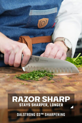 Dalstrong Santoku Gladiator Elite mango G10 ergonómico para uso diario